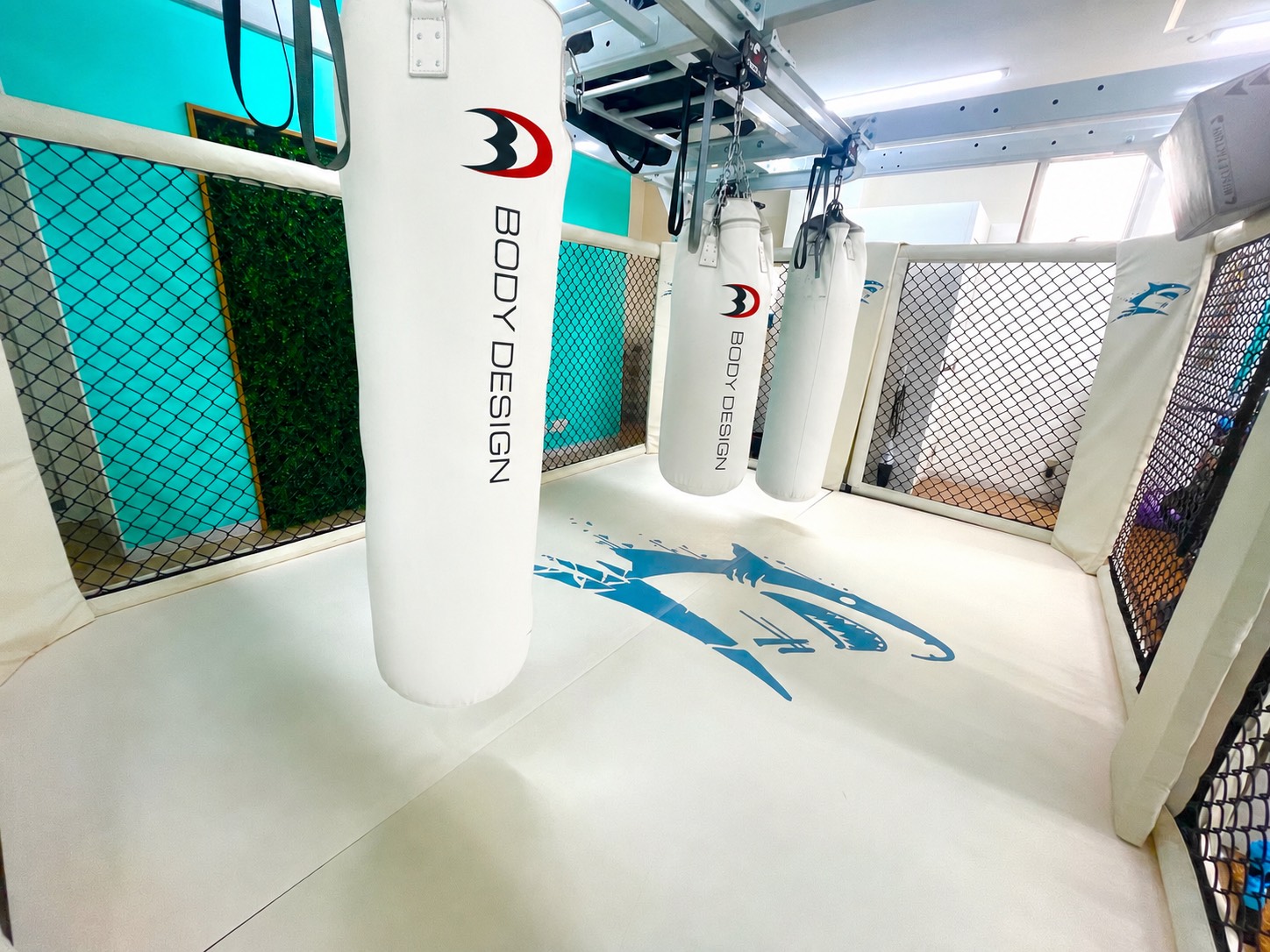 Shark Style Gym本八幡のボクシングリング