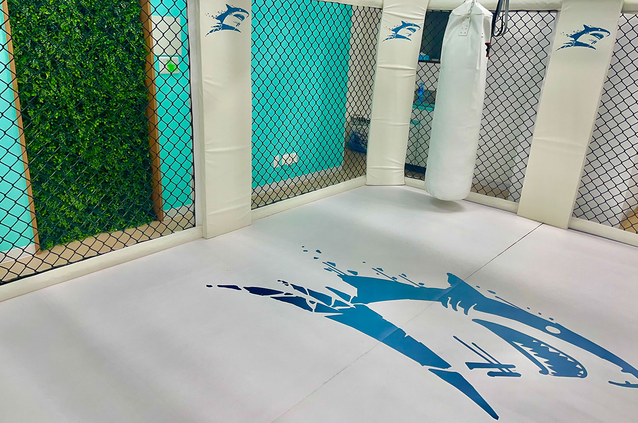 本格リングを備えたShark Style Gym本八幡