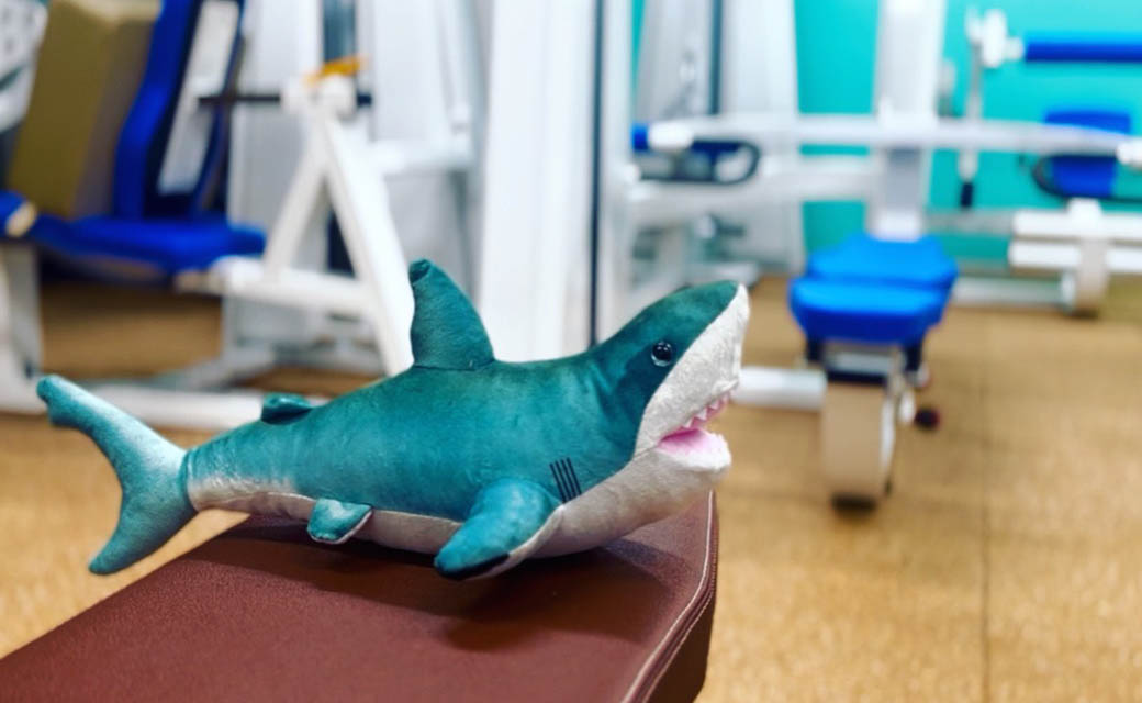 Shark Style Gymのレンタルスペース