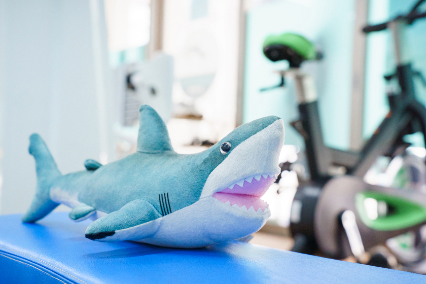 Shark Style Gymのレンタルスペース